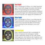 Rechargeable RED Light Therapy Facial Mask